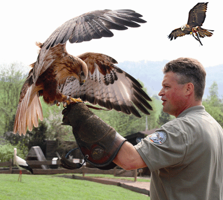 Vogelpark Steinen